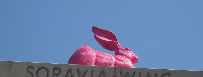 pink rabbit
